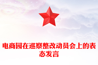 電商園在巡察整改動員會上的表態(tài)發(fā)言