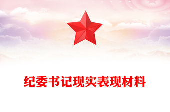 紀委書記現實表現材料