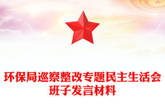 環保局巡察整改專題民主生活會班子發言材料