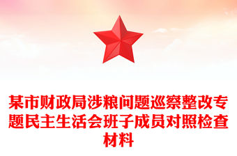 某市財政局涉糧問題巡察整改專題民主生活會班子成員對照檢查材料