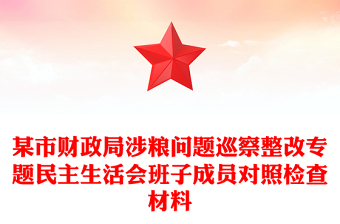 某市財(cái)政局涉糧問題巡察整改專題民主生活會(huì)班子成員對(duì)照檢查材料