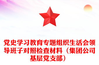 黨史學(xué)習(xí)教育專(zhuān)題組織生活會(huì)領(lǐng)導(dǎo)班子對(duì)照檢查材料（集團(tuán)公司基層黨支部）