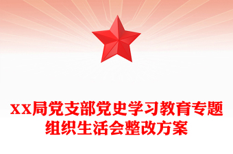 XX局黨支部黨史學(xué)習(xí)教育專題組織生活會(huì)整改方案