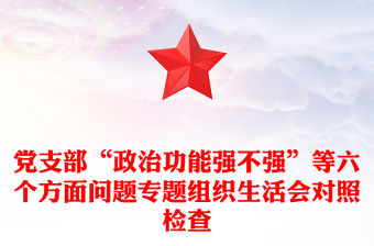 黨支部“政治功能強不強”等六個方面問題專題組織生活會對照檢查