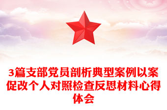 3篇支部黨員剖析典型案例以案促改個人對照檢查反思材料心得體會
