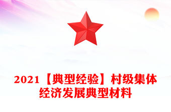 2021【典型經驗】村級集體經濟發展典型材料