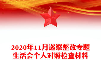 2020年11月巡察整改專題生活會個人對照檢查材料