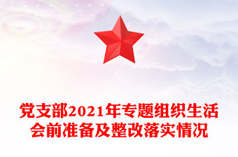 黨支部2021年專題組織生活會前準備及整改落實情況