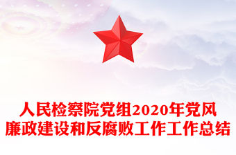 人民檢察院黨組2020年黨風廉政建設和反腐敗工作工作總結