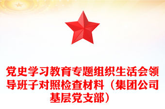 黨史學習教育專題組織生活會領導班子對照檢查材料（集團公司基層黨支部）
