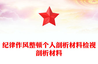 紀律作風整頓個人剖析材料檢視剖析材料