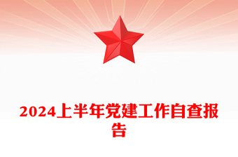 2024上半年黨建工作自查報告PPT精美大氣黨政匯報模板(講稿)