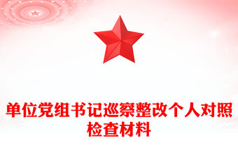 單位黨組書記巡察整改個人對照檢查材料