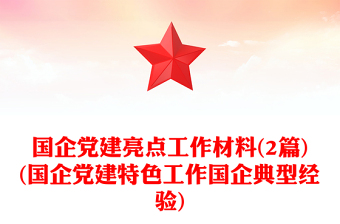 國企黨建亮點(diǎn)工作材料(2篇)(國企黨建特色工作國企典型經(jīng)驗(yàn))