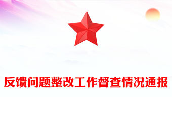 反饋問題整改工作督查情況通報