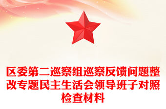 區(qū)委第二巡察組巡察反饋問題整改專題民主生活會領(lǐng)導班子對照檢查材料