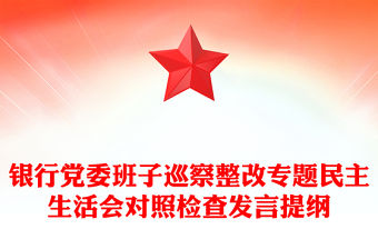 銀行黨委班子巡察整改專題民主生活會對照檢查發言提綱