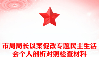 市局局長以案促改專題民主生活會(huì)個(gè)人剖析對照檢查材料