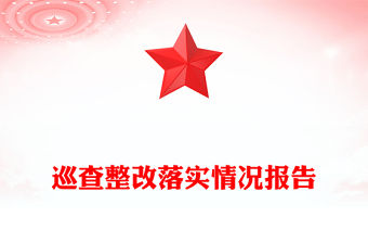 巡查整改落實(shí)情況報(bào)告