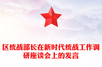 區統戰部長在新時代統戰工作調研座談會上的發言