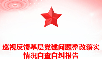 巡視反饋基層黨建問(wèn)題整改落實(shí)情況自查自糾報(bào)告