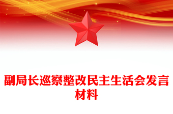 副局長(zhǎng)巡察整改民主生活會(huì)發(fā)言材料