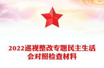 2022巡視整改專題民主生活會對照檢查材料