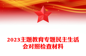 2023主題教育專題民主生活會(huì)對(duì)照檢查材料
