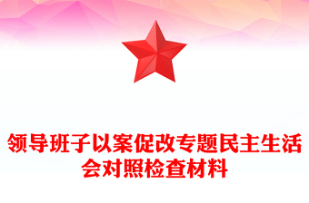 領(lǐng)導(dǎo)班子以案促改專題民主生活會(huì)對(duì)照檢查材料