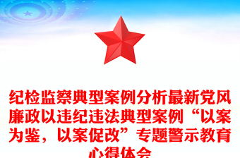 紀檢監(jiān)察典型案例分析最新黨風廉政以違紀違法典型案例“以案為鑒，以案促改”專題警示教育心得體會