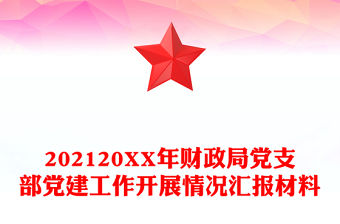 202120XX年財政局黨支部黨建工作開展情況匯報材料