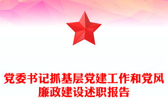 黨委書記抓基層黨建工作和黨風(fēng)廉政建設(shè)述職報告
