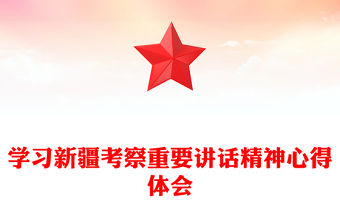 學習新疆考察重要講話精神心得體會