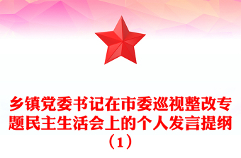 鄉(xiāng)鎮(zhèn)黨委書記在市委巡視整改專題民主生活會上的個人發(fā)言提綱（1）