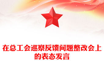 在總工會巡察反饋問題整改會上的表態發言