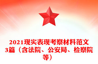 2021現實表現考察材料范文3篇（含法院、公安局、檢察院等）