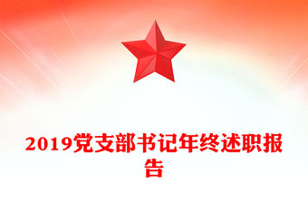2019黨支部書記年終述職報告