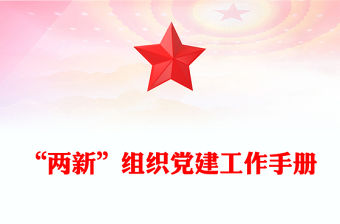 “兩新”組織黨建工作手冊
