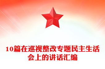 10篇在巡視整改專題民主生活會上的講話匯編