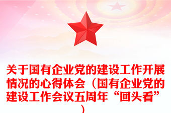 關于國有企業黨的建設工作開展情況的心得體會（國有企業黨的建設工作會議五周年“回頭看”）