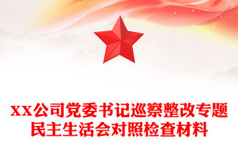 XX公司黨委書記巡察整改專題民主生活會對照檢查材料
