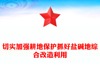 抓好鹽堿地綜合改造利用PPT大氣簡潔分區(qū)分類因地制宜綜合改造利用鹽堿地耕地保護(hù)課件(講稿)