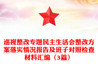 巡視整改專題民主生活會整改方案落實情況報告及班子對照檢查材料匯編（3篇）