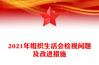 2021年組織生活會(huì)檢視問題及改進(jìn)措施