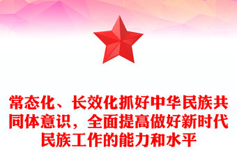 常態化、長效化抓好中華民族共同體意識，全面提高做好新時代民族工作的能力和水平
