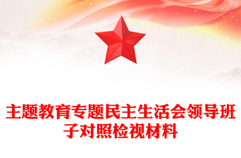 主題教育專(zhuān)題民主生活會(huì)領(lǐng)導(dǎo)班子對(duì)照檢視材料黨建PPT模板(講稿)