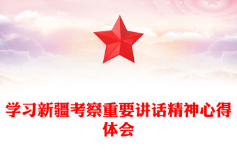 學習新疆考察重要講話精神心得體會