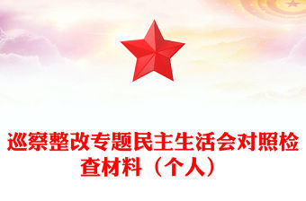 巡察整改專題民主生活會(huì)對(duì)照檢查材料（個(gè)人）