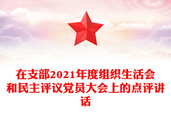 在支部2021年度組織生活會和民主評議黨員大會上的點評講話