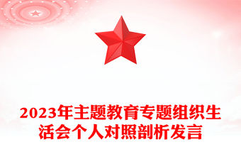 2023年主題教育專題組織生活會個人對照剖析發言PPT模板(講稿)
